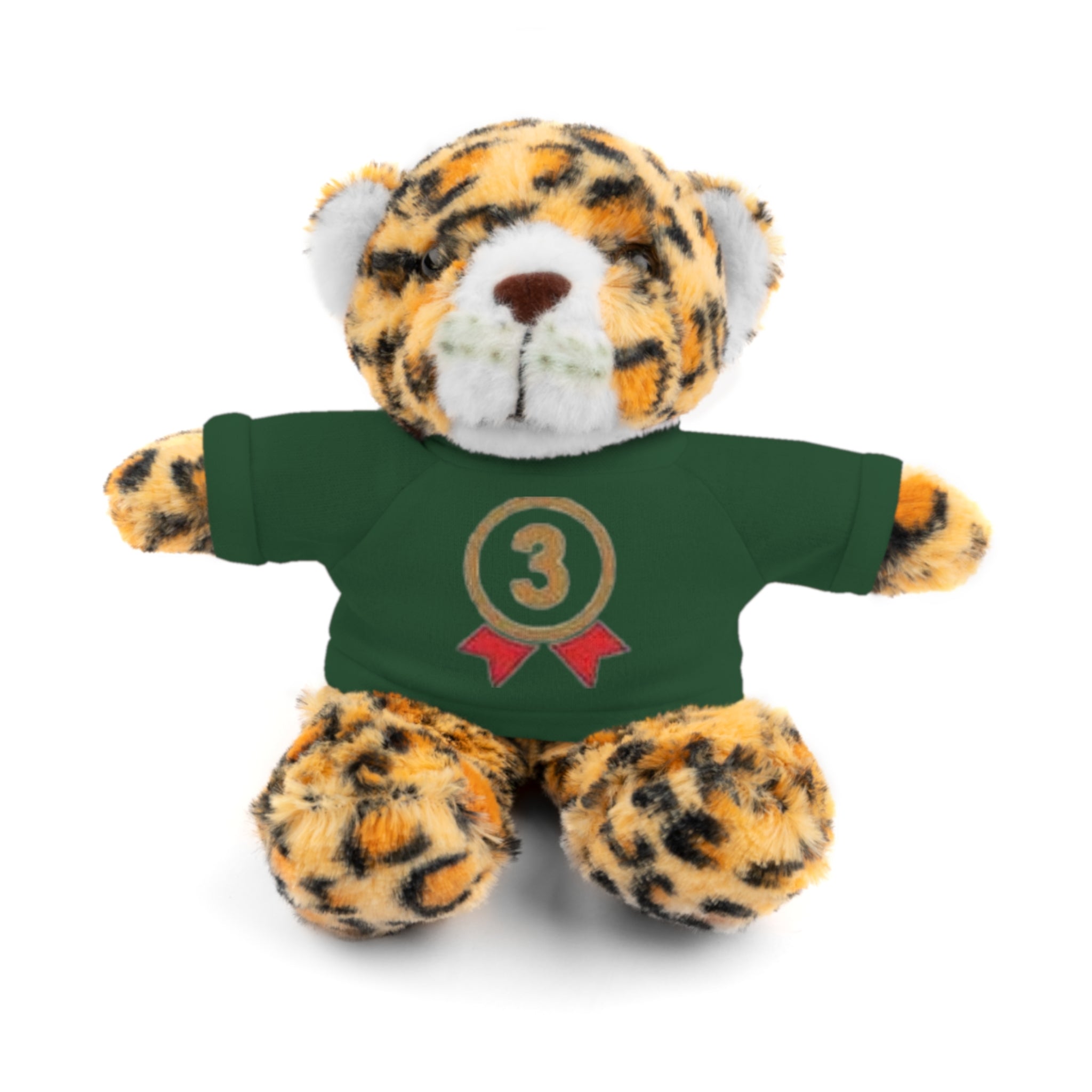 3rd Place Gymnastics Stuffed Animal with Gymnastics T-Shirt