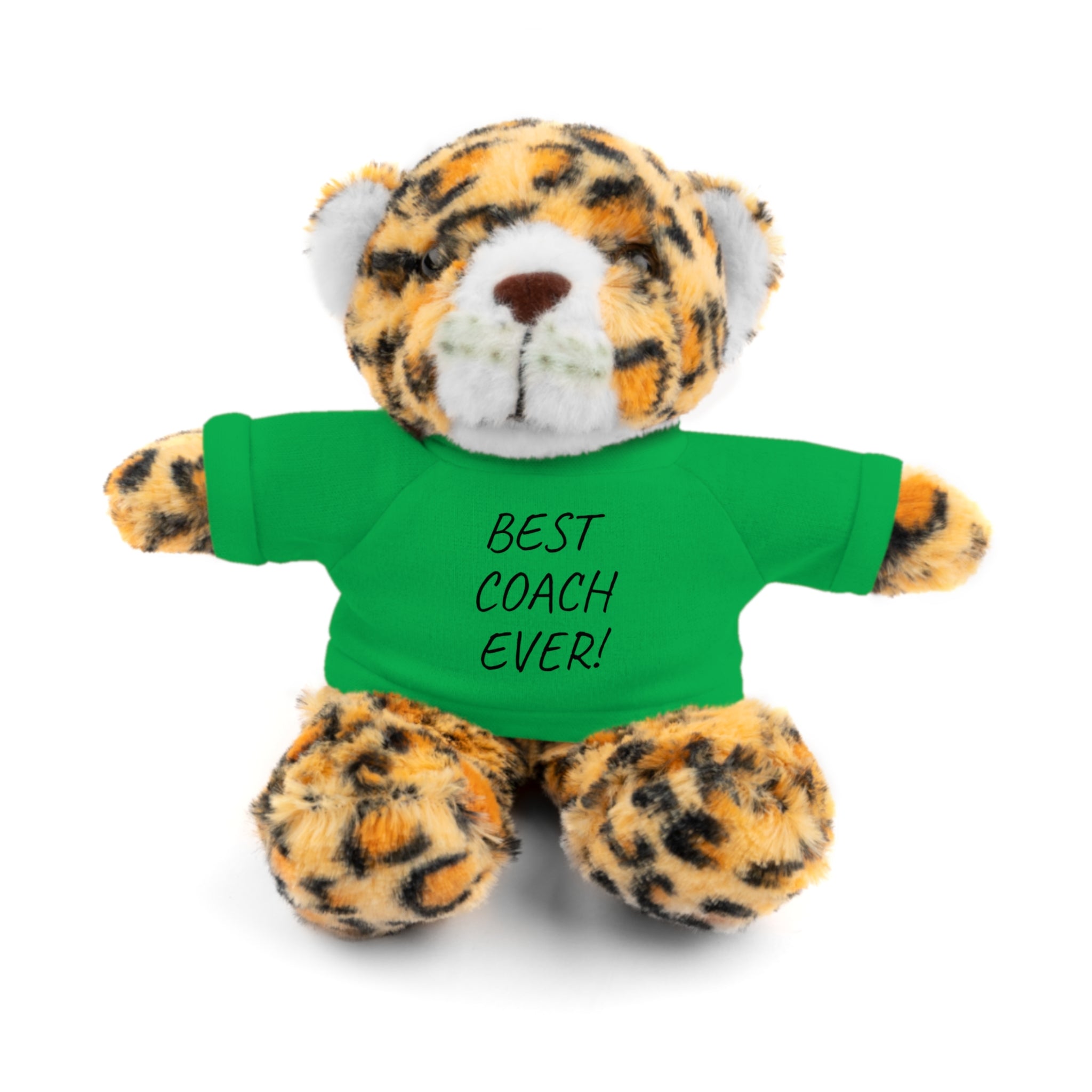 Best Coach Ever Teddy with Tee
