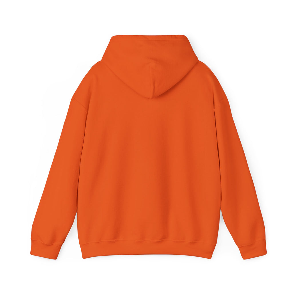 Behind every strong gymnast is a coach who believed first - Gymnast Coach Hoodie (Adults)