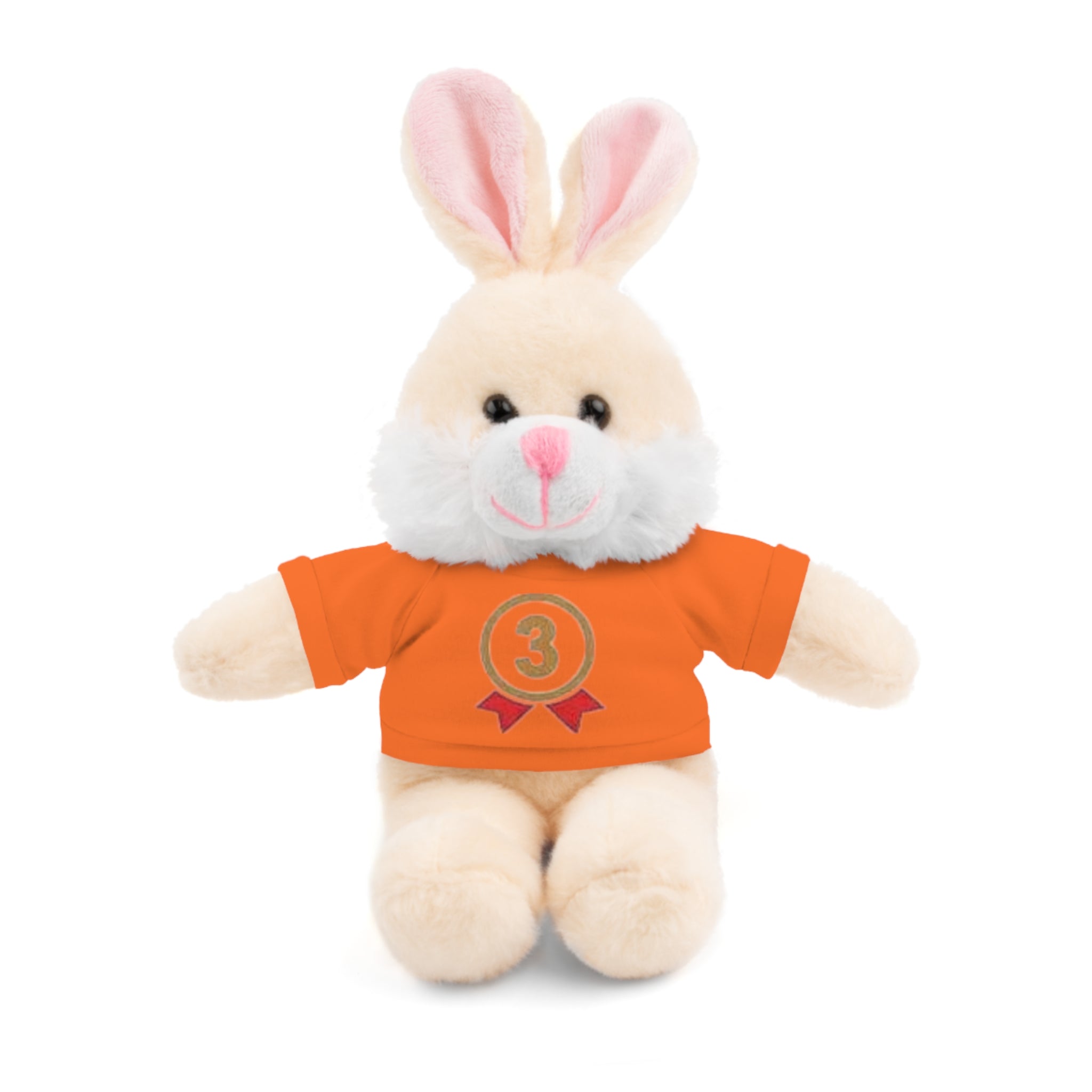 3rd Place Gymnastics Stuffed Animal with Gymnastics T-Shirt